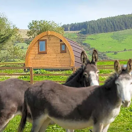 Ξενοδοχείο Kilbane Glamping