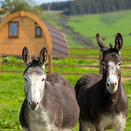 Kilbane Glamping